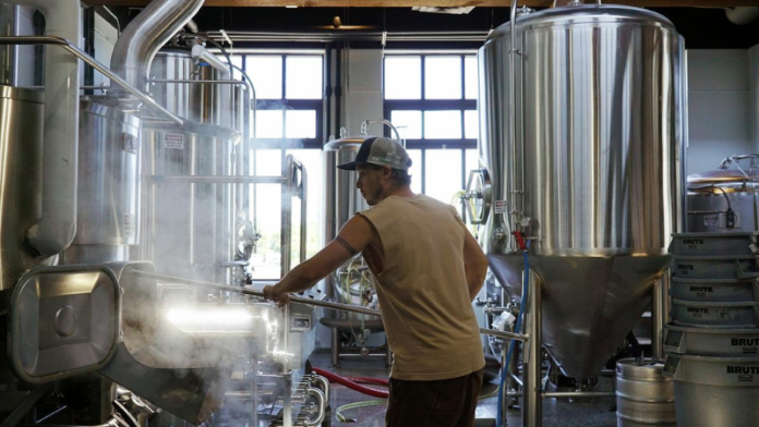 How to start a microbrewery